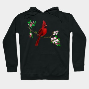 Red Cardinal Perched on Pink Cherry Blossom Branch Hoodie